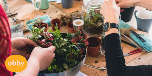 What is a Terrarium?