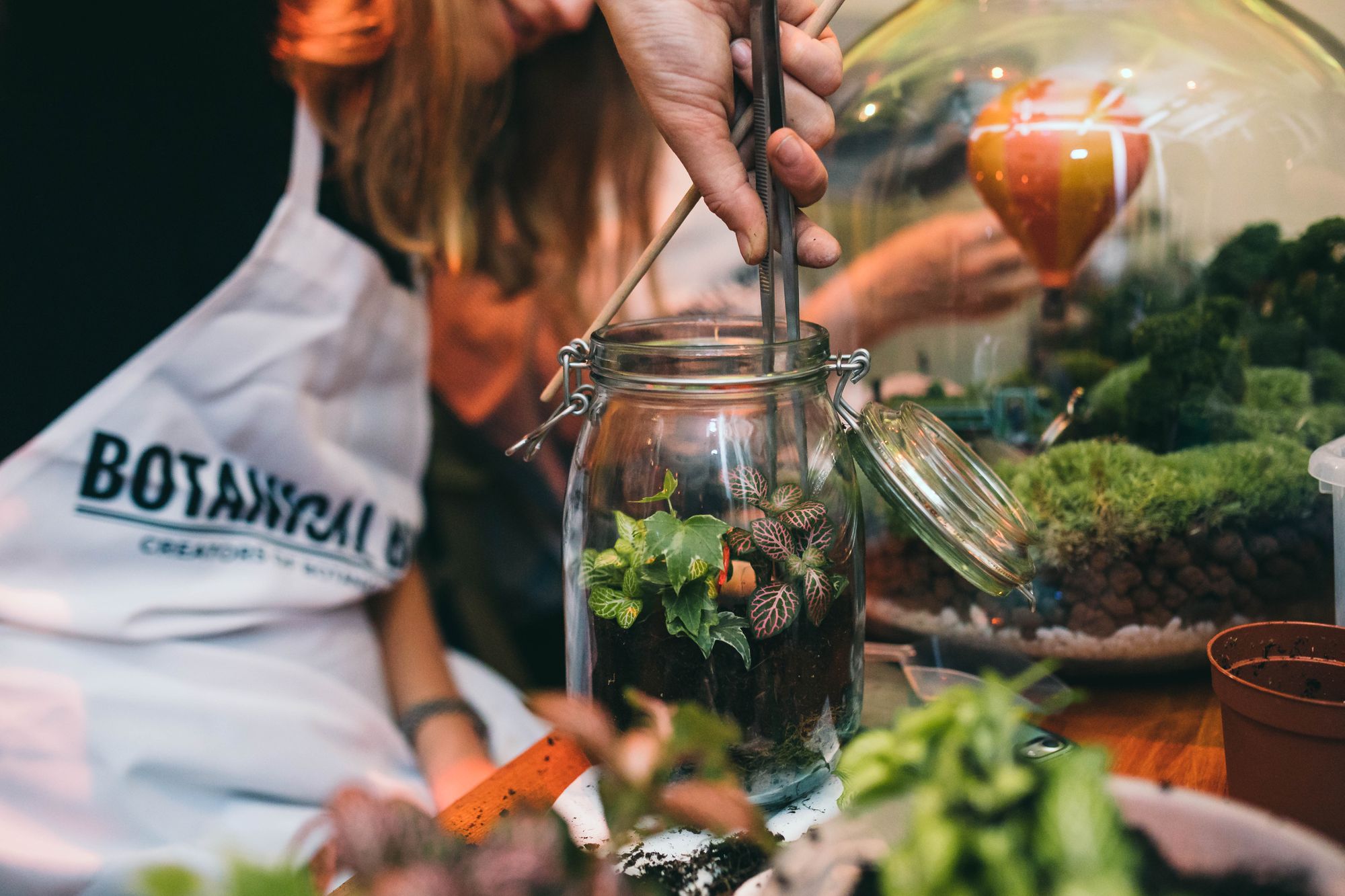 Story Telling with the Botanical Boys - the Terrarium Trailblazers