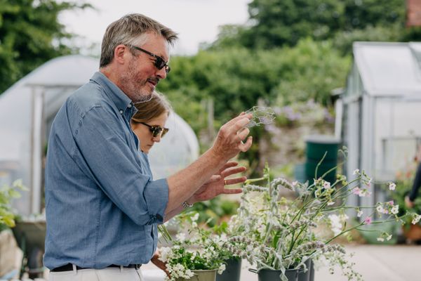 Top 10 Best Floristry Classes in Bristol